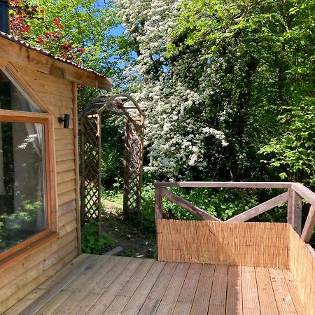 Honey Bee Cabin Llandysul Bagian luar foto