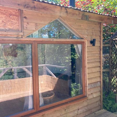 Honey Bee Cabin Llandysul Bagian luar foto