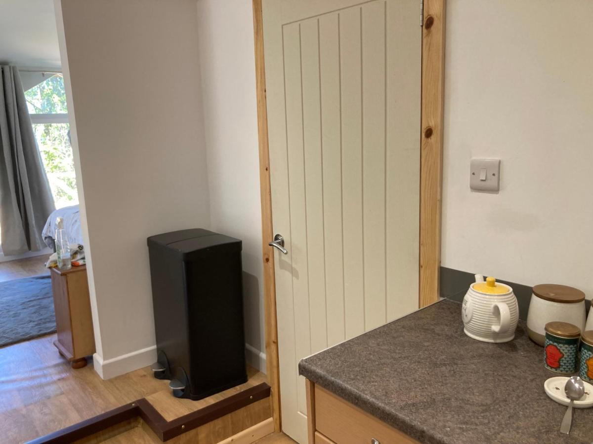 Honey Bee Cabin Llandysul Bagian luar foto