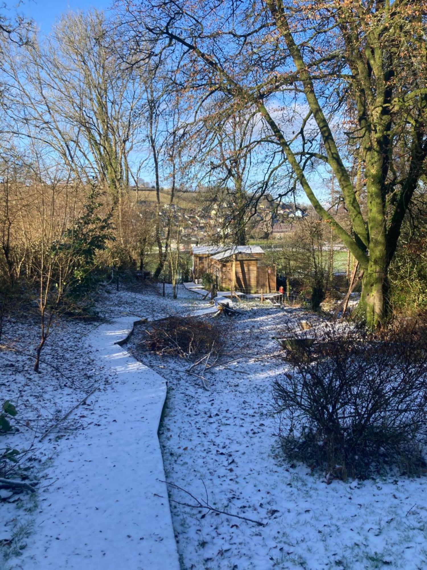 Honey Bee Cabin Llandysul Bagian luar foto